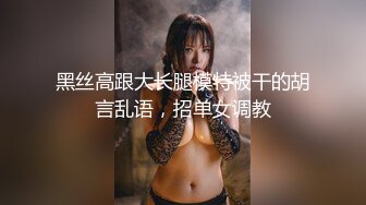 黑丝高跟大长腿模特被干的胡言乱语，招单女调教