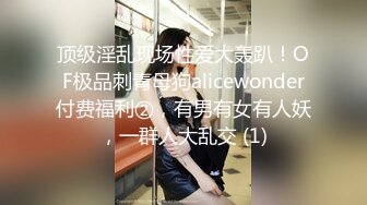 顶级淫乱现场性爱大轰趴！OF极品刺青母狗alicewonder付费福利②，有男有女有人妖，一群人大乱交 (1)