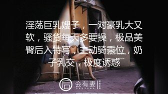 淫荡巨乳嫂子，一对豪乳大又软，骚货每天多要操，极品美臀后入特写，主动骑乘位，奶子乳交，极度诱惑