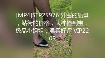 [MP4]STP25976 外围的质量，站街的价格，大神捡到宝，极品小姐姐，温柔好评 VIP2209