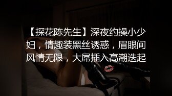 【探花陈先生】深夜约操小少妇，情趣装黑丝诱惑，眉眼间风情无限，大屌插入高潮迭起