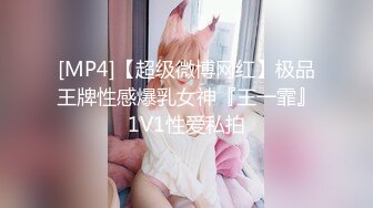 [MP4]【超级微博网红】极品王牌性感爆乳女神『王一霏』1V1性爱私拍