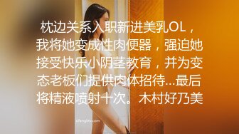 枕边关系入职新进美乳OL，我将她变成性肉便器，强迫她接受快乐小阴茎教育，并为变态老板们提供肉体招待…最后将精液喷射十次。木村好乃美