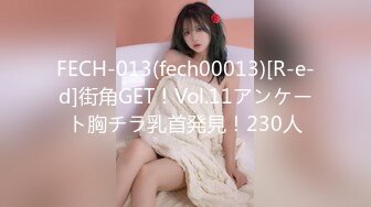 FECH-013(fech00013)[R-e-d]街角GET！Vol.11アンケート胸チラ乳首発見！230人