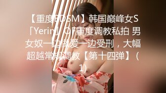 【重度BDSM】韩国巅峰女S「Yerin」OF重度调教私拍 男女奴一边做爱一边受刑，大幅超越常规调教【第十四弹】 (1)