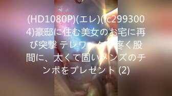 (HD1080P)(エレ)(fc2993004)豪邸に住む美女のお宅に再び突撃 テレワークで疼く股間に、太くて固いメンズのチンポをプレゼント (2)