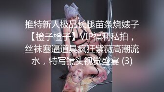 推特新人极品长腿苗条烧婊子【橙子橙子】VIP福利私拍，丝袜塞逼道具疯狂紫薇高潮流水，特写镜头视觉盛宴 (3)