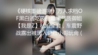 《硬核重磅泄密》万人求档OF黑白通吃极品媚黑气质御姐【我是Z】私拍全套，车震野战露出被黑人健壮小哥玩肏 (3)