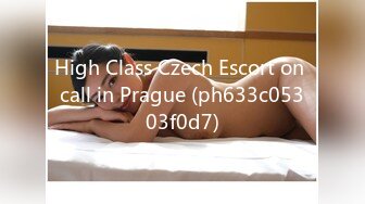 High Class Czech Escort on call in Prague (ph633c05303f0d7)