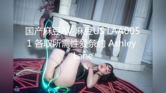 国产麻豆AV 麻豆US LAA0051 各取所需性爱条约 Ashley Lane