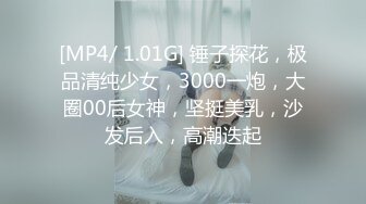 [MP4/ 1.01G] 锤子探花，极品清纯少女，3000一炮，大圈00后女神，坚挺美乳，沙发后入，高潮迭起